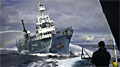sea-shepherd_281211