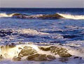 sewage_051006