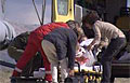 shark-accident_081108