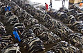 shark-fins_160710