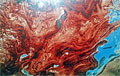 spawning_240311