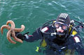 starfish_091210