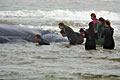 stranding_220910