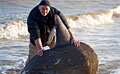 sunfish_301212