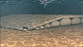 surf-reef_210909