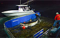 tagging_250912