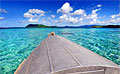 tetepare_050509