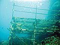 training%20_platform_060807
