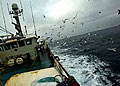trawler_190506