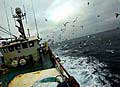 trawler_211204