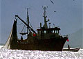 trawler_300408