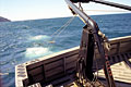 trawling_110204