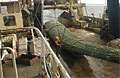trawling_190210