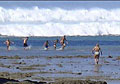 tsunami_030905