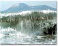 tsunami_10022005