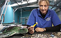 turtle-plastic_010711