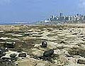 war_pollution_210806