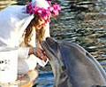 wedding_311205