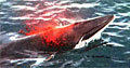 whale-hunt_140308