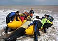 whale-rescue_280211