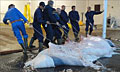 whalemeat_210711