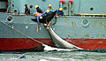 whalers_100603