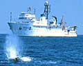 whaleship_180803