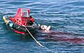 whaling_180106