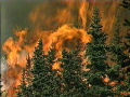 wildfire_050107