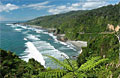 zealand_061211